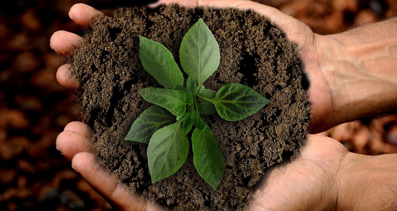 Elemento terra nella riflessologia plantare
