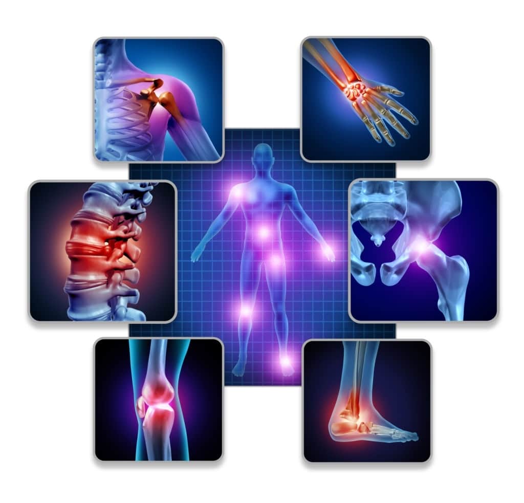 Struttura del corso di anatomia palpatoria