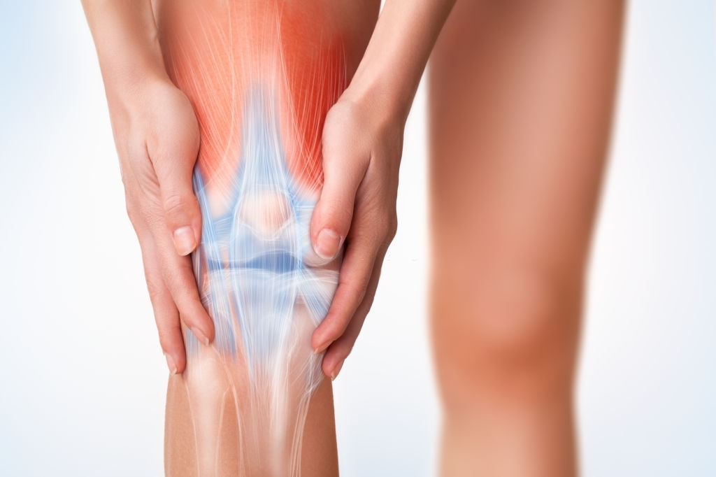 Corso di Anatomia Palpatoria