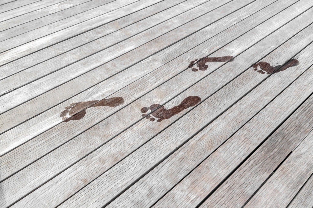 Corso Riflessologia Plantare Elemento Legno