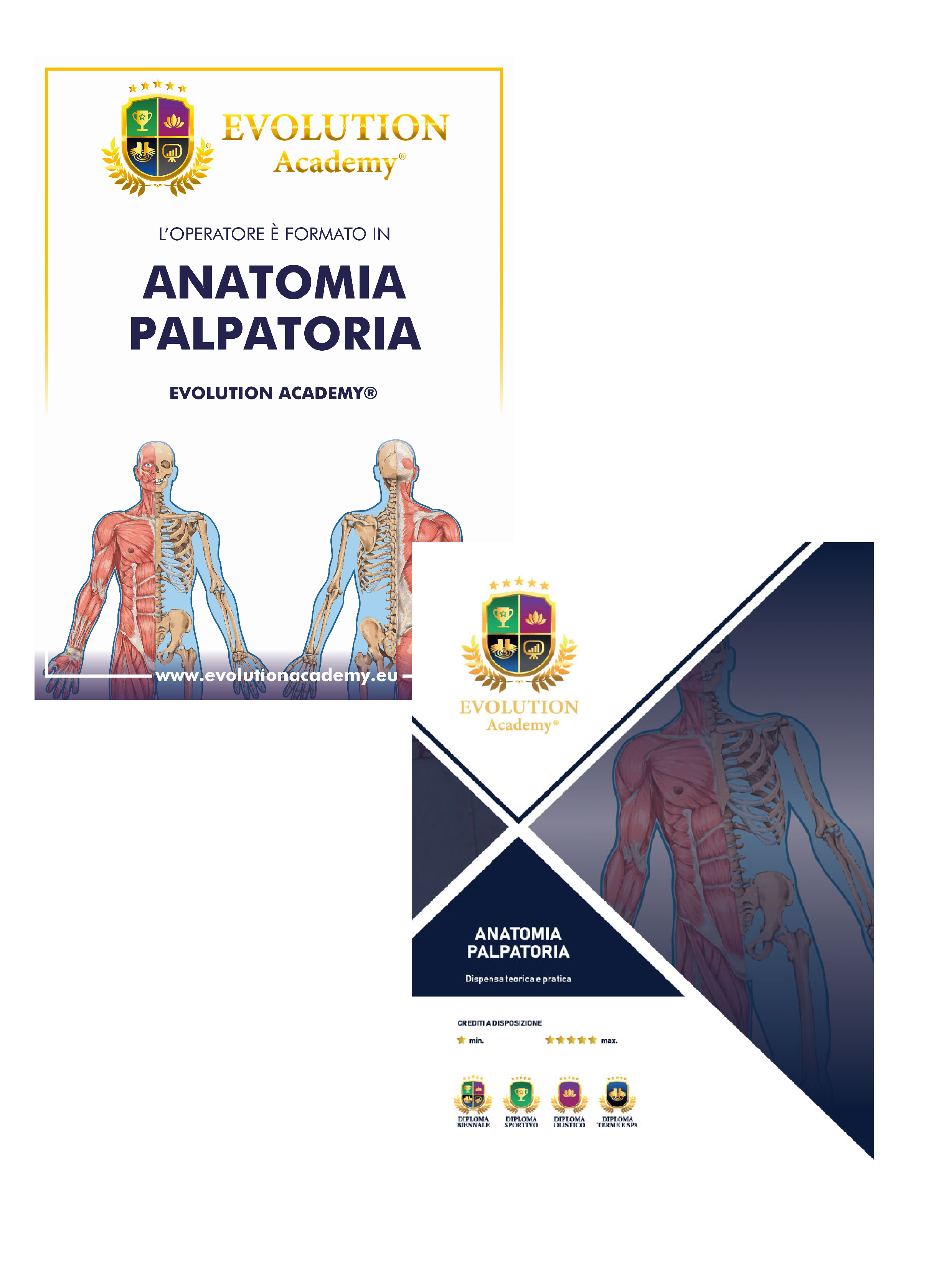 Materiale rilasciato al corso di anatomia palpatoria ad Ancona