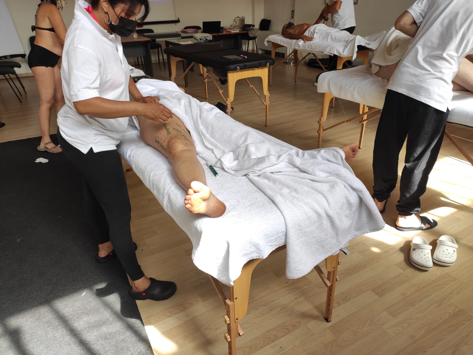 Modalità in aula del corso di anatomia palpatoria L'aquila