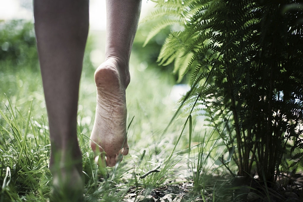 Corso di riflessologia plantare elemento terra a Roma