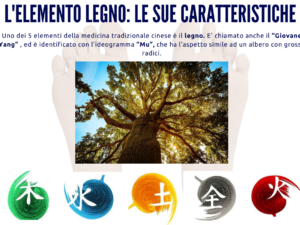 Elemento legno: scopri le sue caratteristiche