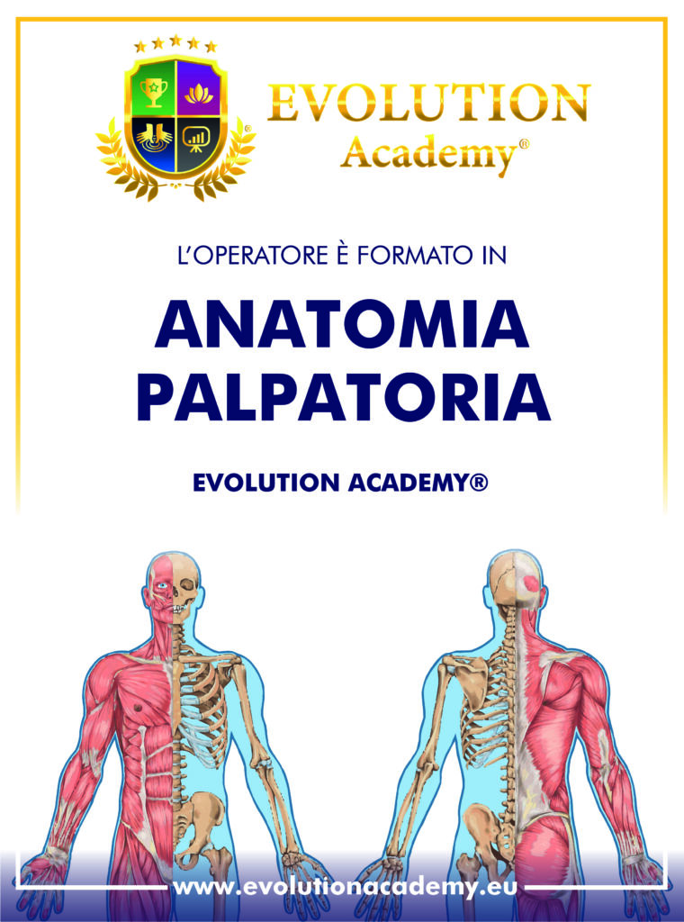 Poster rilasciato al corso di anatomia a Bolzano