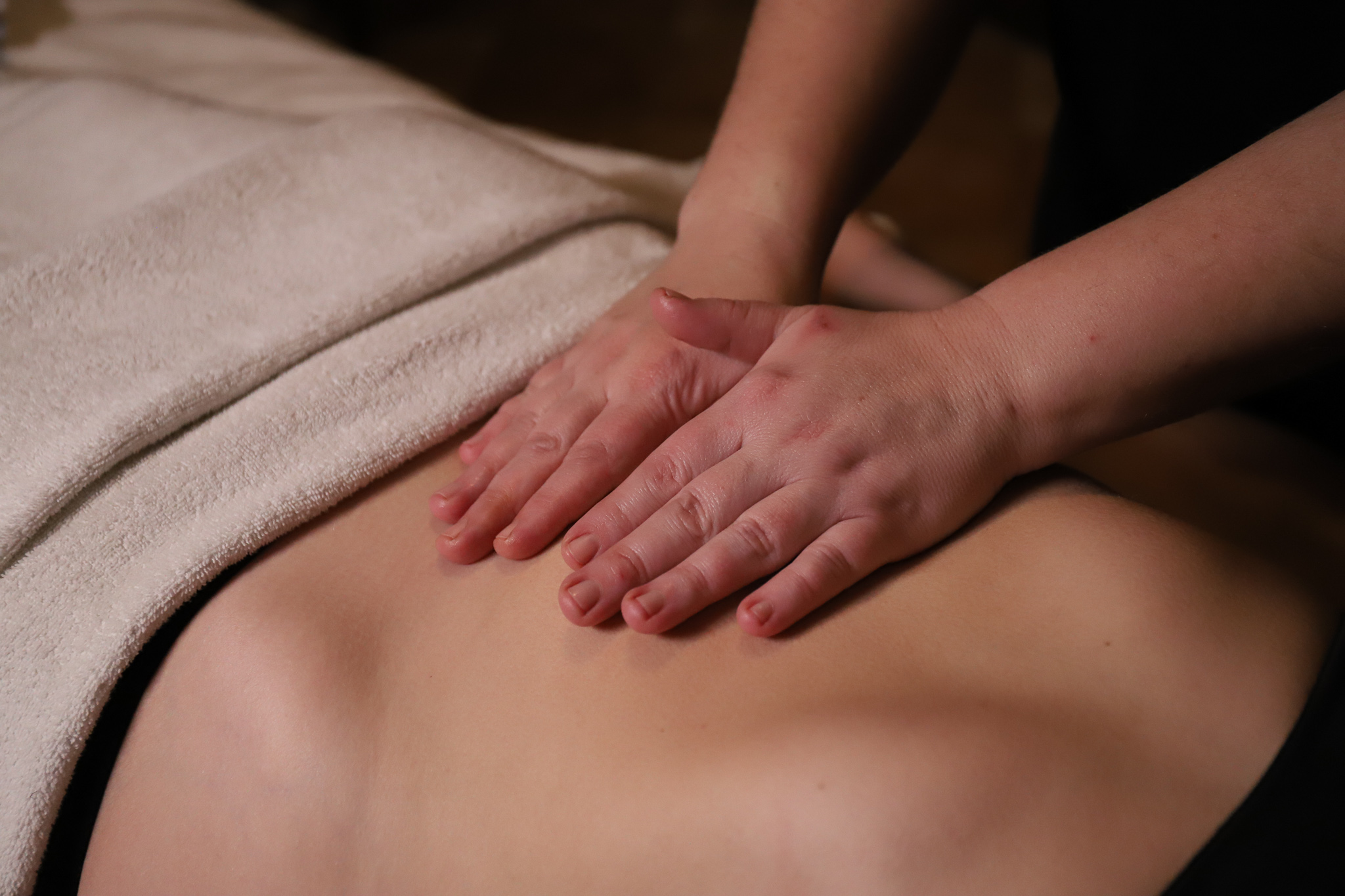 Tecnica pratica del massaggio ayurvedico pittabyangam