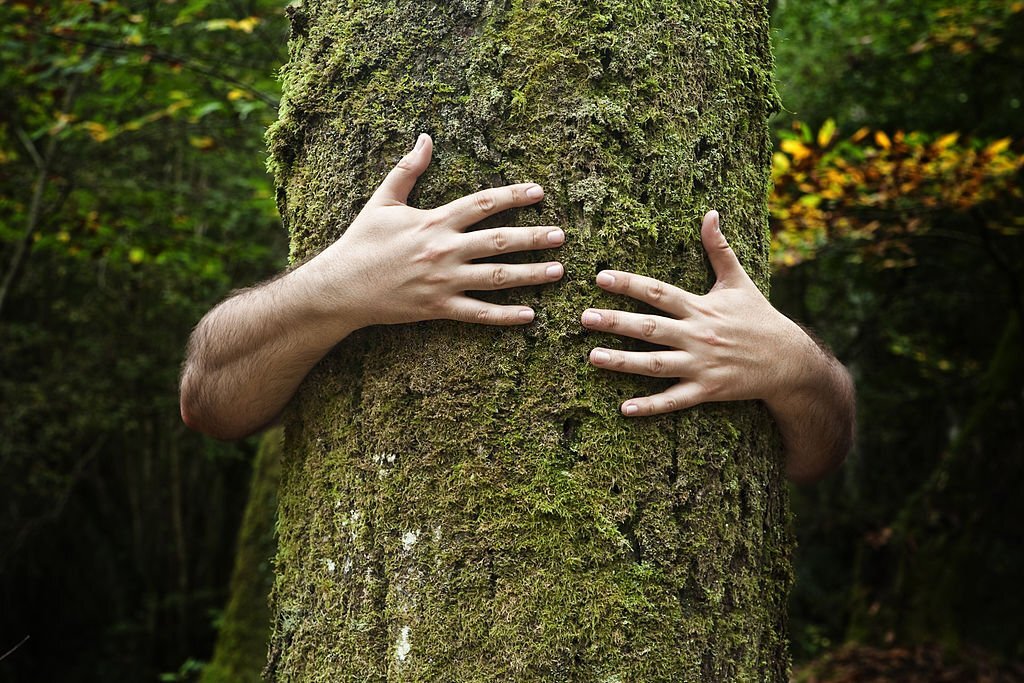 La natura che si esprime