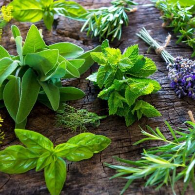 Perché partecipare al corso Ayurveda a Perugia: la natura che si esprime