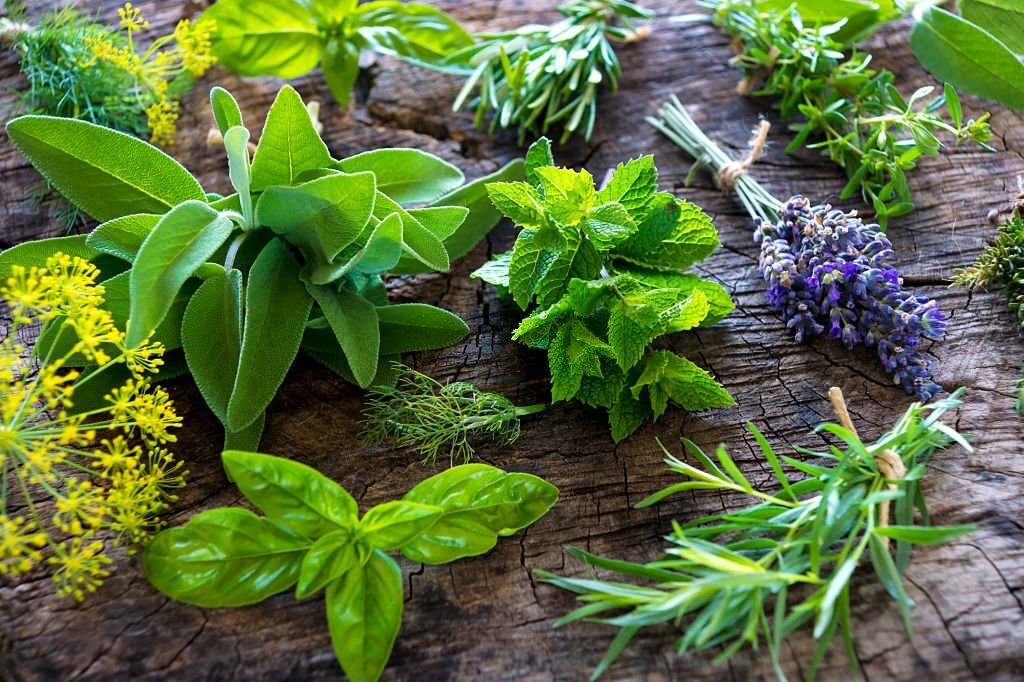 Corso Ayurveda a Vicenza: la natura che si esprime