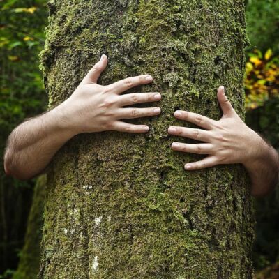  Corso Ayurveda a Viterbo: la natura che si esprime