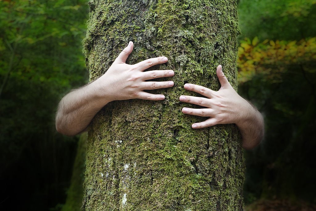 Il corso di riflessologia plantare elemento legno a Genova