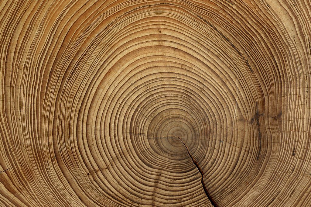 Scopri il corso di riflessologia plantare elemento legno a Piacenza