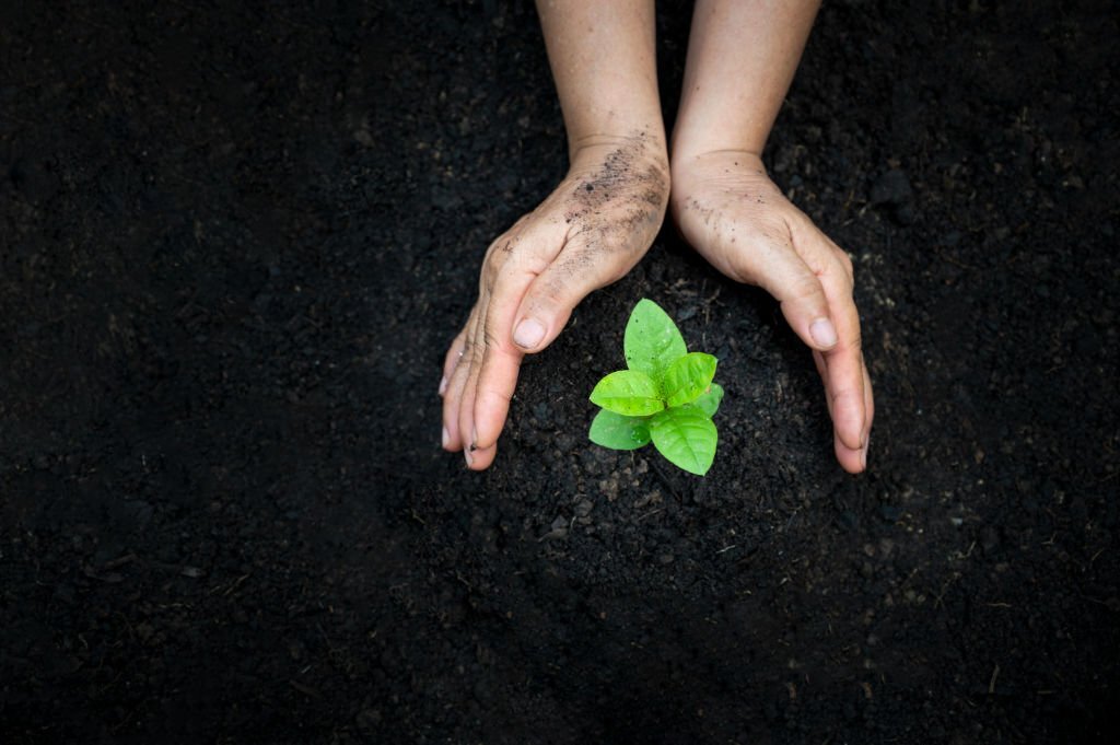 Corso di riflessologia plantare elemento terra a L'Aquila