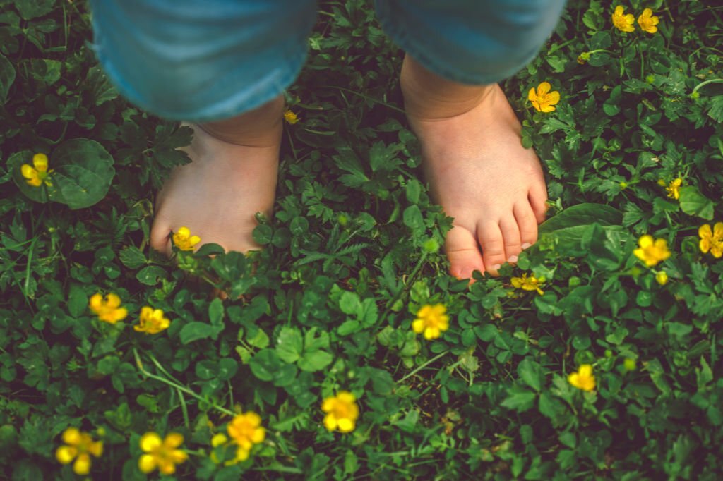 Il corso riflessologia plantare elemento terra Bari