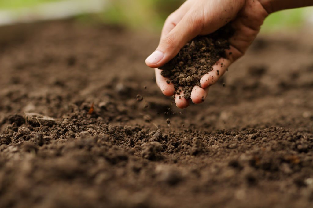 Corso di riflessologia plantare elemento terra a Catania