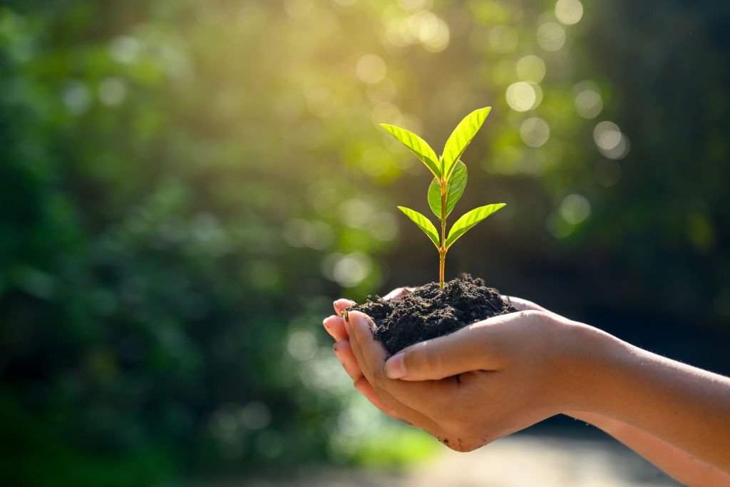 Il corso riflessologia plantare elemento terra a Cosenza