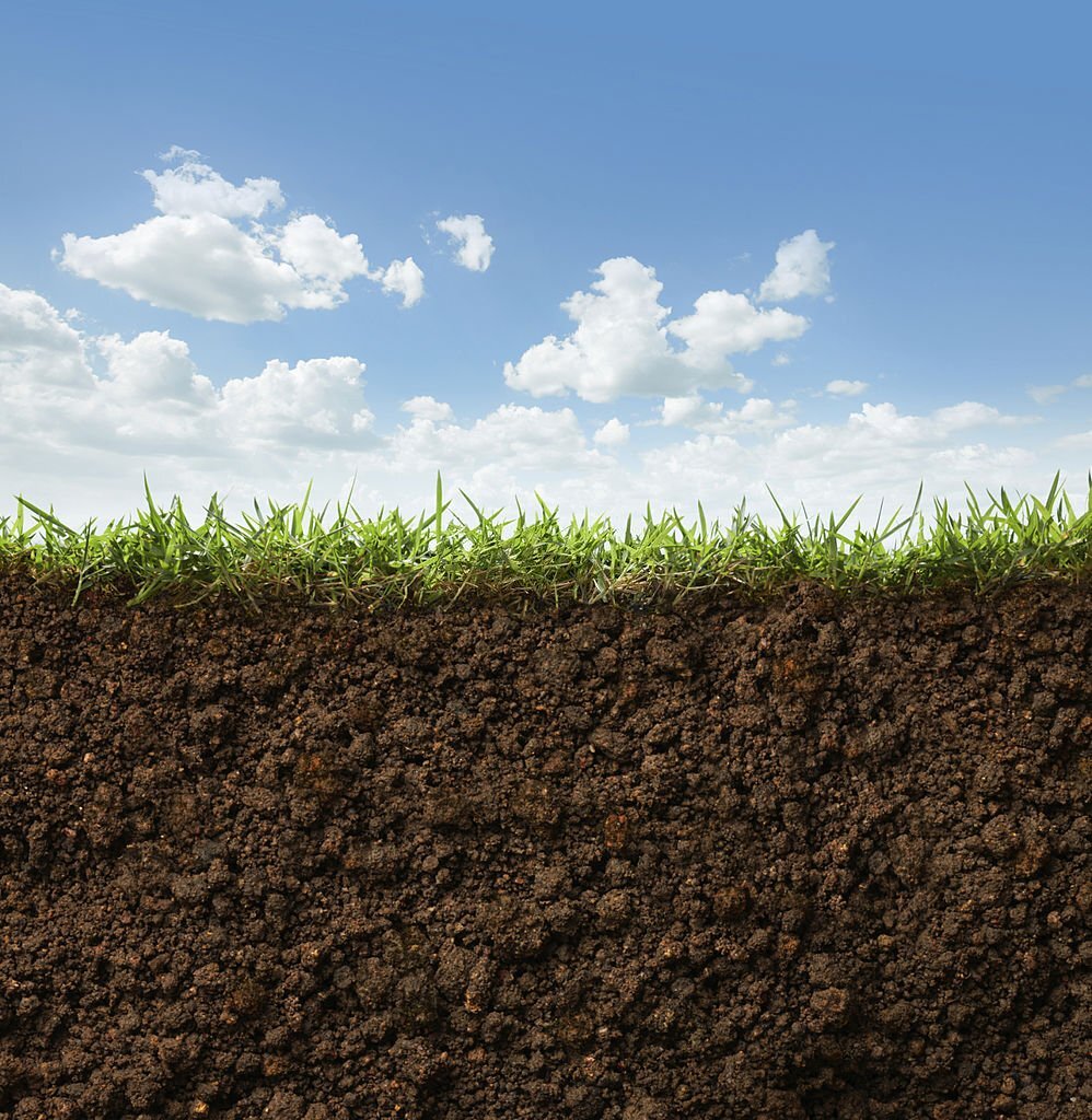 Corso di riflessologia plantare elemento terra a Viterbo