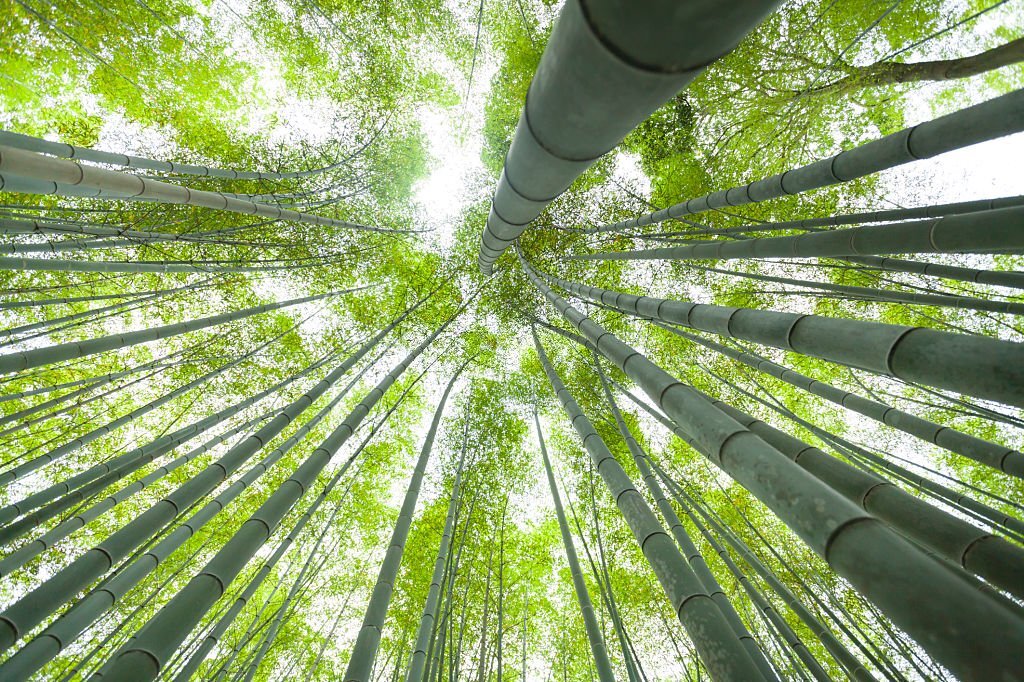 Il corso di bamboo massage ad Arezzo