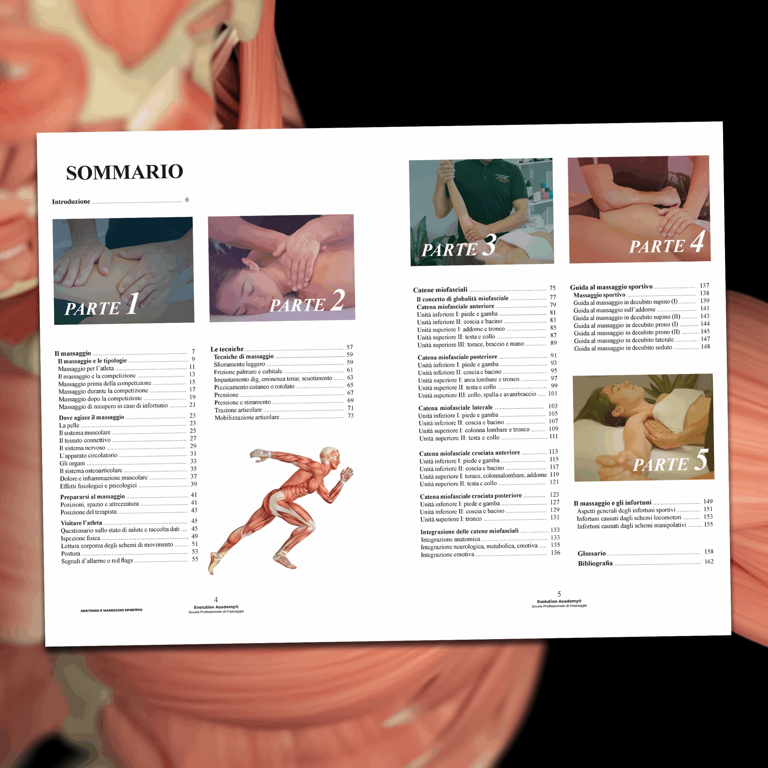 Libro di Anatomia e Massaggio Sportivo della Scuola di Massaggio Evolution Academy®