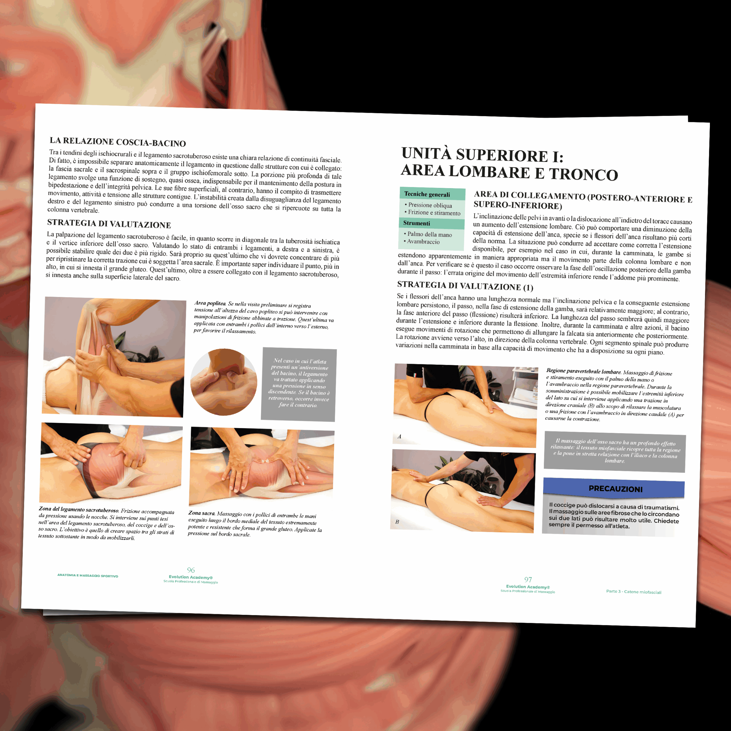 Libro di Anatomia e Massaggio Sportivo della Scuola di Massaggio Evolution Academy®