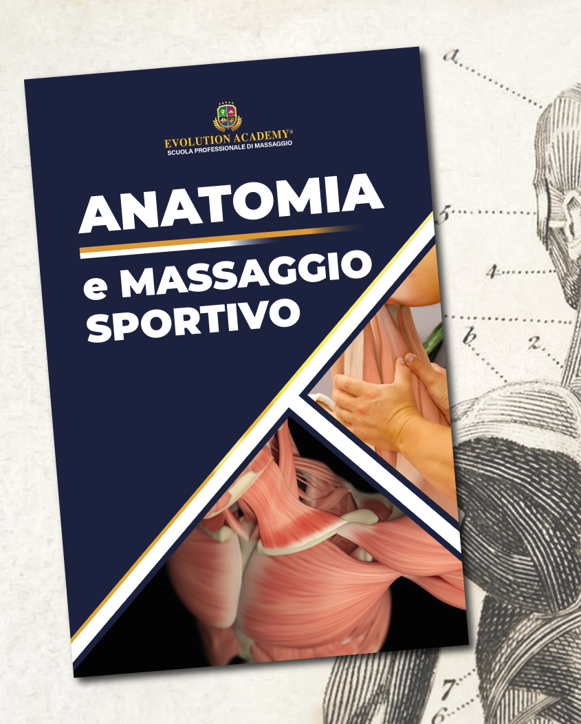Libro di Anatomia e Massaggio Sportivo della Scuola di Massaggio Evolution Academy®