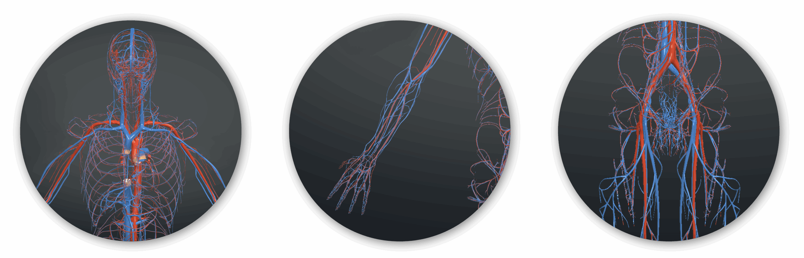 Cattiva circolazione_ i massaggi come rimedio_Evolution Academy
